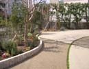  Our garden